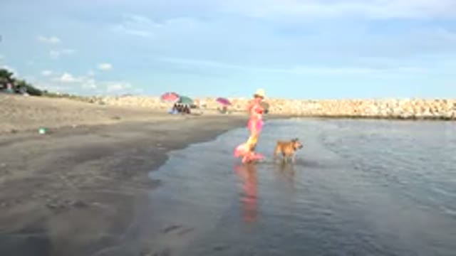 GRAND JUNCTION COLORADO-2017: Two Little Girls Playing At A Beach With Their Dog