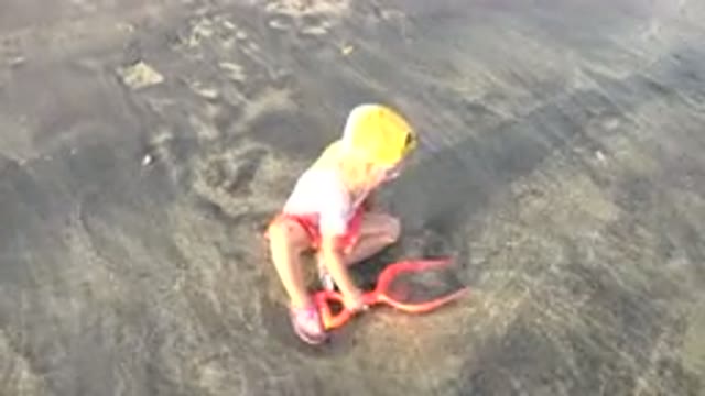 GRAND JUNCTION COLORADO-2017: Little Blonde Child Playing in Peach Pool