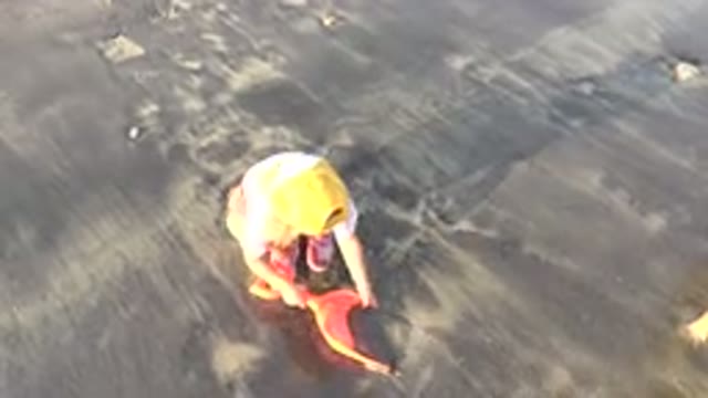 GRAND JUNCTION COLORADO-2017: Blonde Hair Boy Dressing a Yellow Cap Playing With Sand