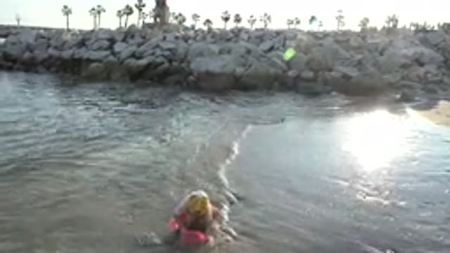 GRAND JUNCTION COLORADO-2017: Little Girl Scoops Wet Sand at the Beach