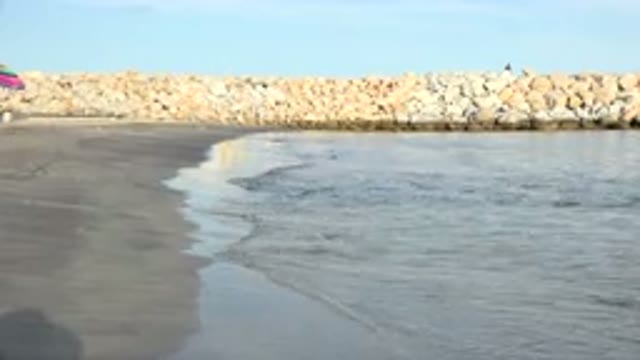GRAND JUNCTION COLORADO-2017: Little Girl On Shore Playing In The Waves And