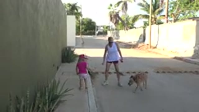 GRAND JUNCTION COLORADO-2017: Kid Playing with Dog and Mother in the Street on a Sunny Day