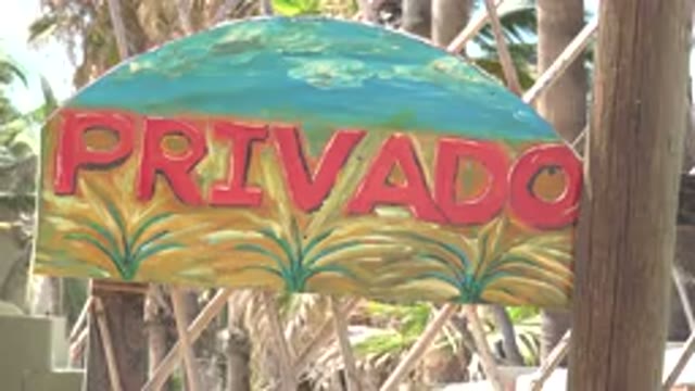GRAND JUNCTION COLORADO-2017: Board Kept With Ne Privation Coconut Trees Around