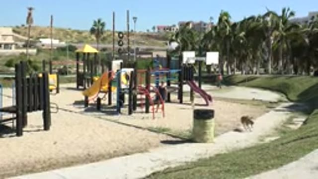 GRAND JUNCTION COLORADO-2017: A Quiet Playground With a Dog and Few People