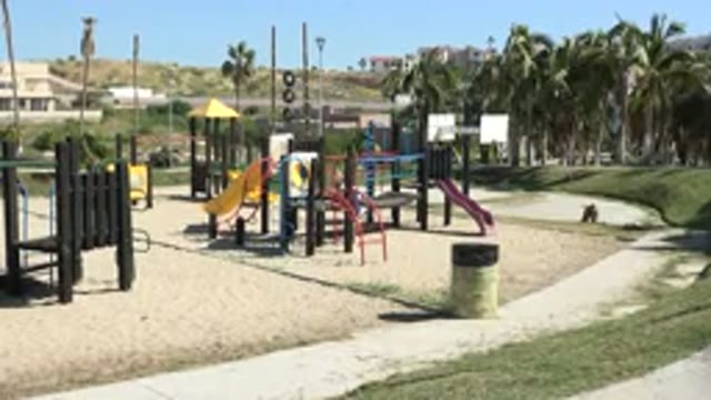 GRAND JUNCTION COLORADO-2017: Stray Dog Runs Toward People Playing in a Park
