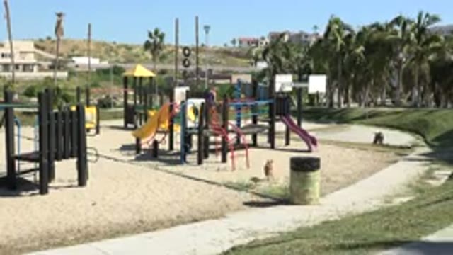 GRAND JUNCTION COLORADO-2017: Outside Playground With A Kid And A Dog There Is