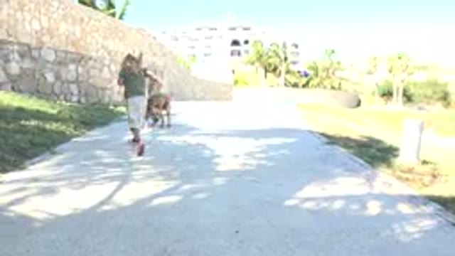 GRAND JUNCTION COLORADO-2017: Dog Not Wanting To Share His Toy With Little Girl