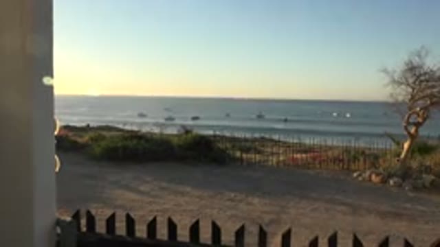 GRAND JUNCTION COLORADO-2017: White Car Parked On Brown Beach Near Green Tree