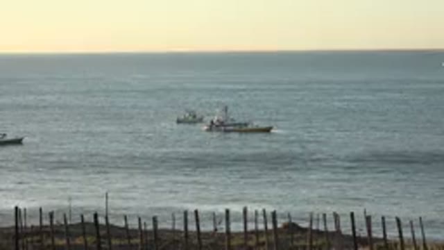 GRAND JUNCTION COLORADO-2017: Boats Distant in the Ocean Sea Wave Sunny Day