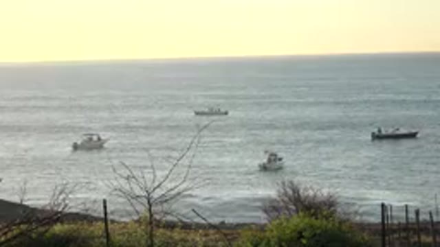 GRAND JUNCTION COLORADO-2017: Four Saltwater Fishing Boats Drifting In The Ocean