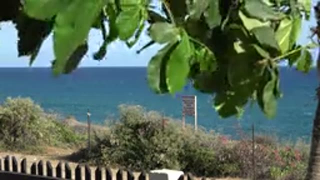 GRAND JUNCTION COLORADO-2017: View Overlooking The Shore With Beautiful Green Nature