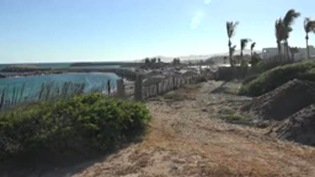 GRAND JUNCTION COLORADO-2017: Land Near Ocean With Swaying Palm Trees