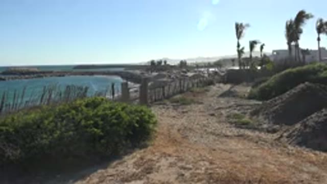GRAND JUNCTION COLORADO-2017: Ocean At The Shore With Sandy Beach And Palm Trees