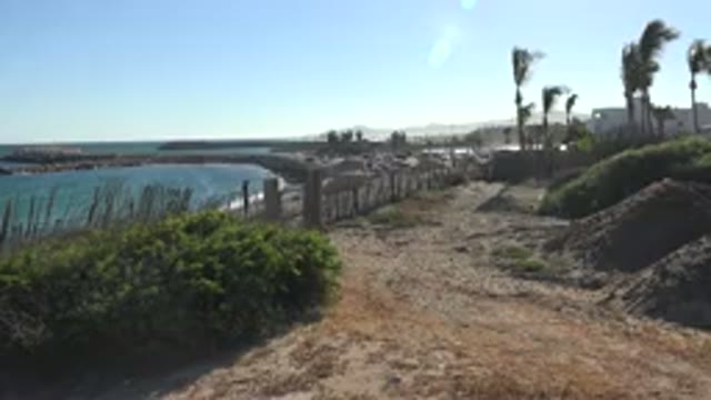GRAND JUNCTION COLORADO-2017: Palm Trees Blowing Near A Body Of Water