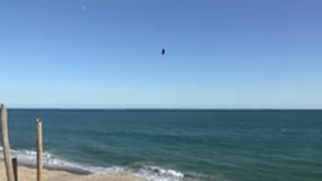 GRAND JUNCTION COLORADO-2017: A Bird Flies Over Water Near The Sandy Shore Line