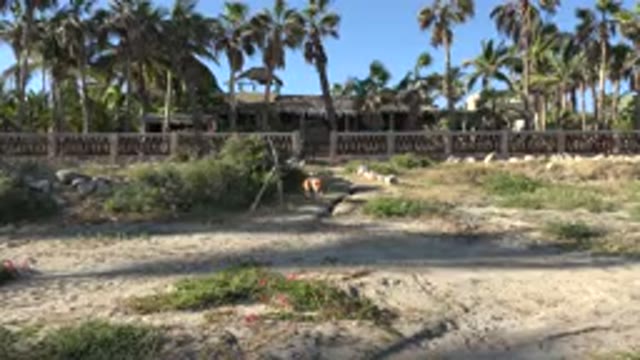 GRAND JUNCTION COLORADO-2017: A House On The Shore With Palm Trees And Fence