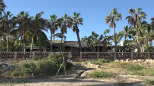 GRAND JUNCTION COLORADO-2017: Big House With Palm Trees On The Front And A Small Path