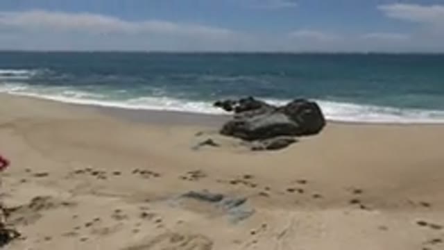 CABO SAN LUCAS MEXICO-2019: Beach On A Sunny Day With Rocks Sand Sea Blue Sky