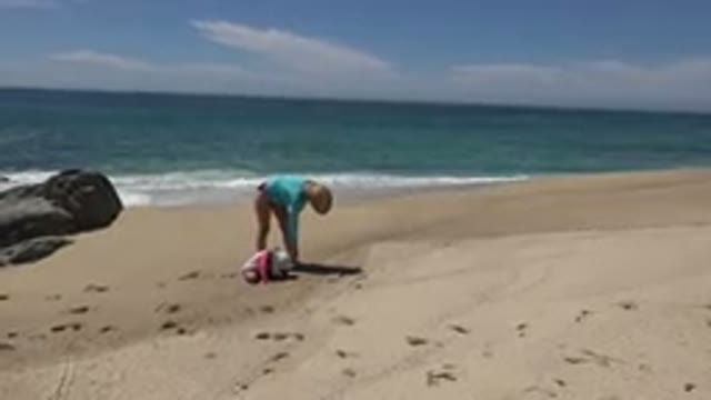 CABO SAN LUCAS MEXICO-2019: Looking For Seashells On The Beach With Family And