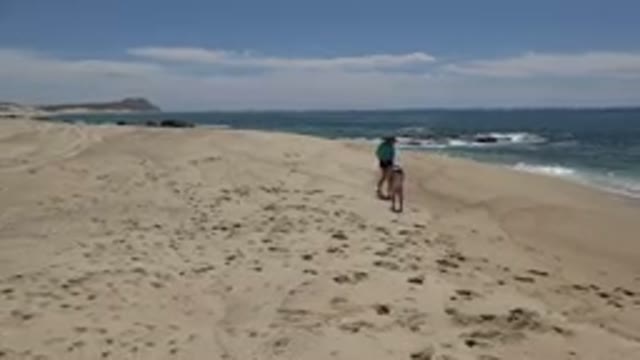 CABO SAN LUCAS MEXICO-2019: Adult And Child Frolicking On Beach