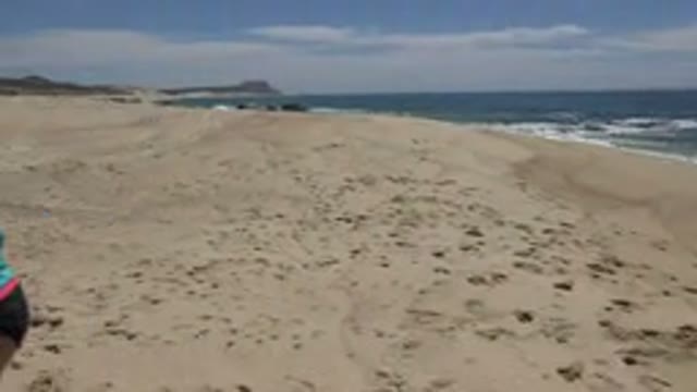 CABO SAN LUCAS MEXICO-2019: A Woman In A Blue Shirt Swimsuit And Wide Brimmed Hat Walks On Beach
