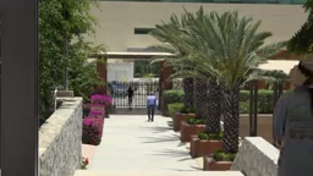 CABO SAN LUCAS MEXICO-2019: Palm Tree Garden Walk