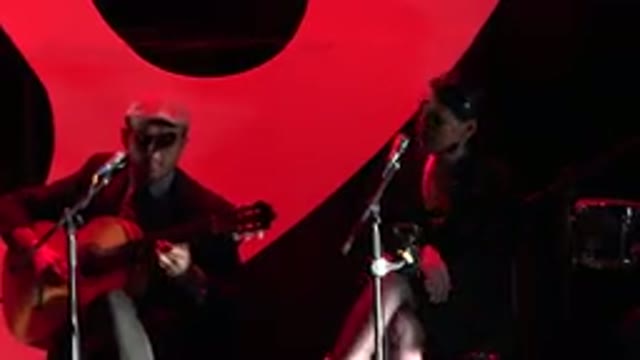 CABO SAN LUCAS MEXICO-2019: Playing Instruments And Singing Like A Pro