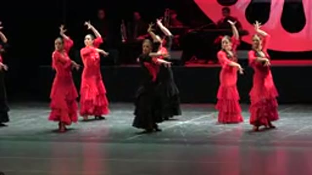 CABO SAN LUCAS MEXICO-2019: Amazing Dance With A Heart
