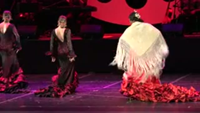 CABO SAN LUCAS MEXICO-2019: A Colorful And Elegant Flamenco Dance