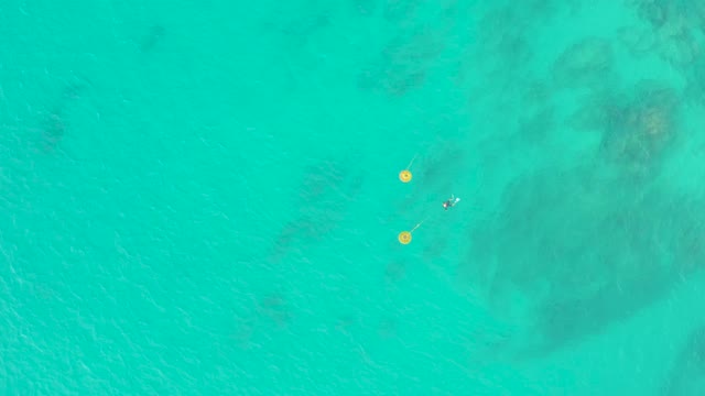 LAGUNA BEACH LOS CABOS BCS MEXICO-2021: Snorkeler in Clear Turquoise Water near Yellow Buoys
