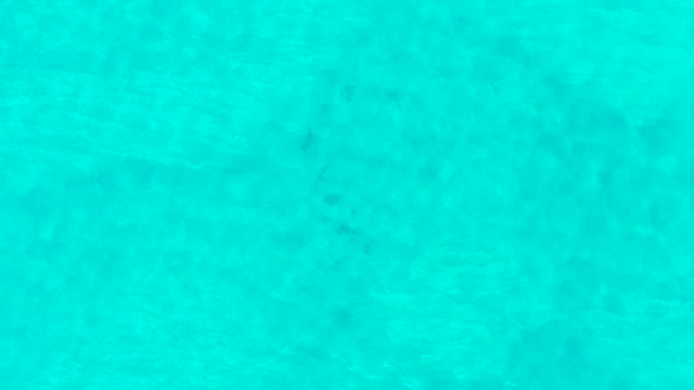 LAGUNA BEACH LOS CABOS BCS MEXICO-2021: Gentle Turquoise Water Ripples and Movement