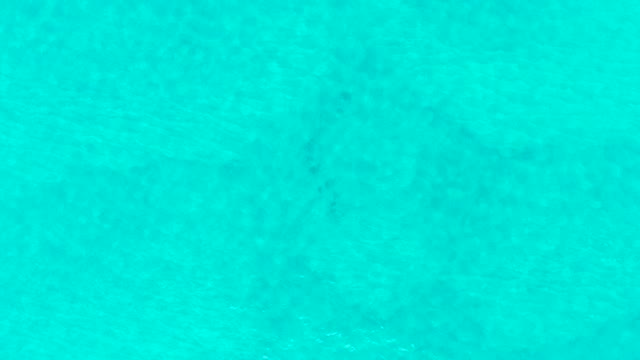 LAGUNA BEACH LOS CABOS BCS MEXICO-2021: Gentle Ripples on Clear Turquoise Ocean Water