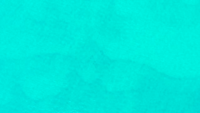 LAGUNA BEACH LOS CABOS BCS MEXICO-2021: Shark Swimming Beneath Turquoise Ocean Surface