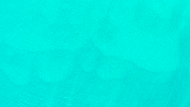 LAGUNA BEACH LOS CABOS BCS MEXICO-2021: Shark Swimming in Clear Turquoise Ocean Water