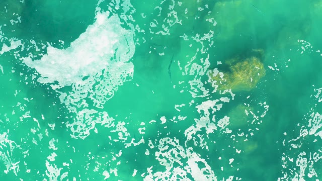 LAGUNA BEACH LOS CABOS BCS MEXICO-2021: Sea Turtle Swimming in Turquoise Ocean Waters