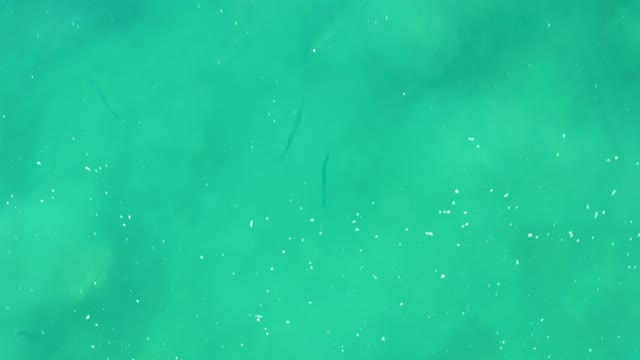 LAGUNA BEACH LOS CABOS BCS MEXICO-2021: Small Fish Swimming in Clear Turquoise Water Before Wave Disturbance