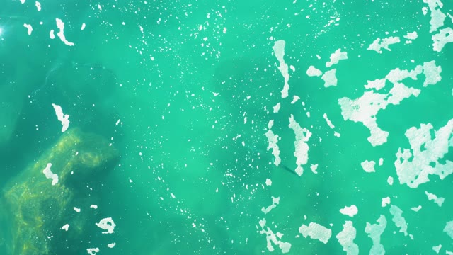 LAGUNA BEACH LOS CABOS BCS MEXICO-2021: Shallow Turquoise Water with Submerged Rocks
