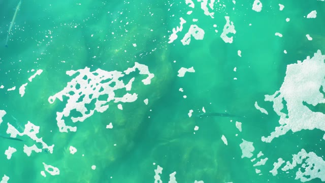 LAGUNA BEACH LOS CABOS BCS MEXICO-2021: Fish Swimming in Clear Turquoise Ocean Water