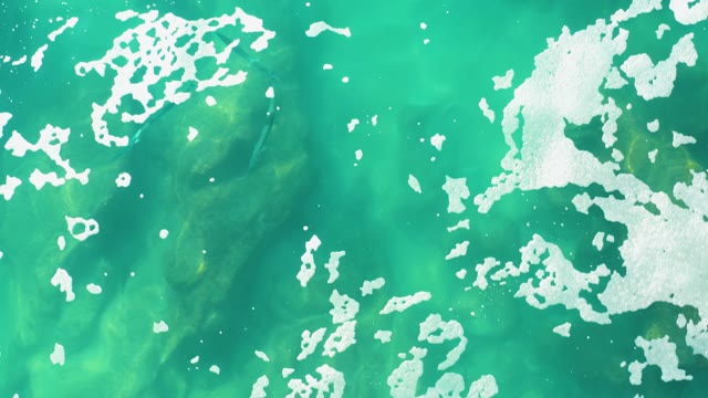 LAGUNA BEACH LOS CABOS BCS MEXICO-2021: Fish Swimming in Clear Turquoise Water From Above