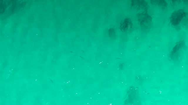 LAGUNA BEACH LOS CABOS BCS MEXICO-2021: Clear Turquoise Water with Small Fish and Rocks