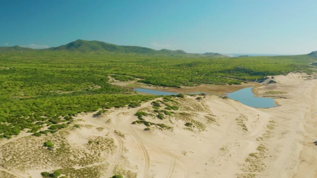LAGUNA BEACH LOS CABOS BCS MEXICO-2021: Lush Forest and Sand Dunes From Above