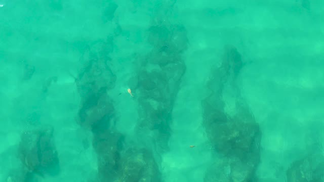 LAGUNA BEACH LOS CABOS BCS MEXICO-2021: Underwater Rocky Formations with Small Fish Swimming