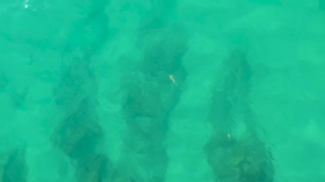 LAGUNA BEACH LOS CABOS BCS MEXICO-2021: Clear Turquoise Water Over Rocky Seabed with Small Fish