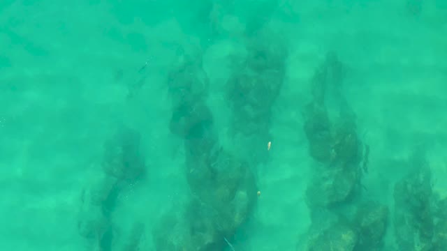 LAGUNA BEACH LOS CABOS BCS MEXICO-2021: Overhead View of Shallow Turquoise Water and Submerged Rocks