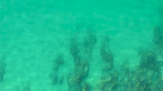 LAGUNA BEACH LOS CABOS BCS MEXICO-2021: Clear Turquoise Water with Underwater Rocks and Coral
