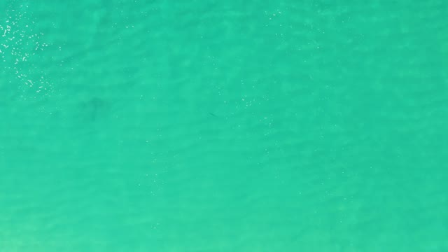 LAGUNA BEACH LOS CABOS BCS MEXICO-2021: Shallow Turquoise Ocean Water with Moving Foam
