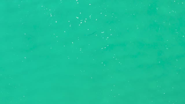 LAGUNA BEACH LOS CABOS BCS MEXICO-2021: Gentle Ripples and Floating Bubbles on Turquoise Water