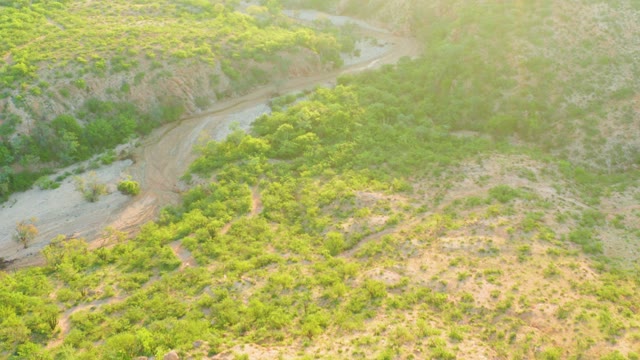 CABO PULMO BCS MEXICO-2021: Winding Dirt Road Through Hilly Green Terrain