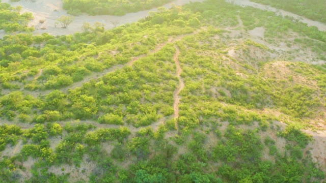 CABO PULMO BCS MEXICO-2021: Wetland Landscape with Water Channels and Green Vegetation