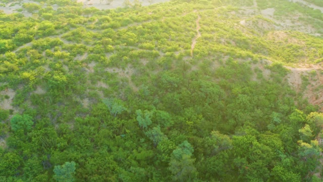 CABO PULMO BCS MEXICO-2021: Hilly Terrain with Green Vegetation and Path